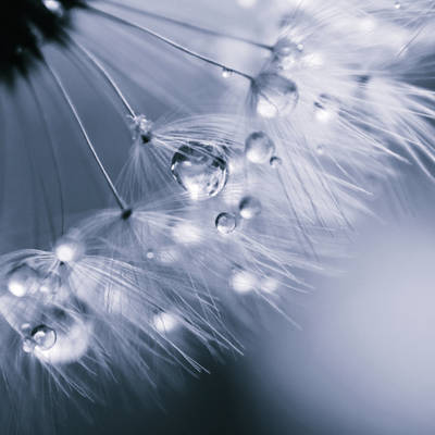 Everybody lies by kara a d58xkit 400t