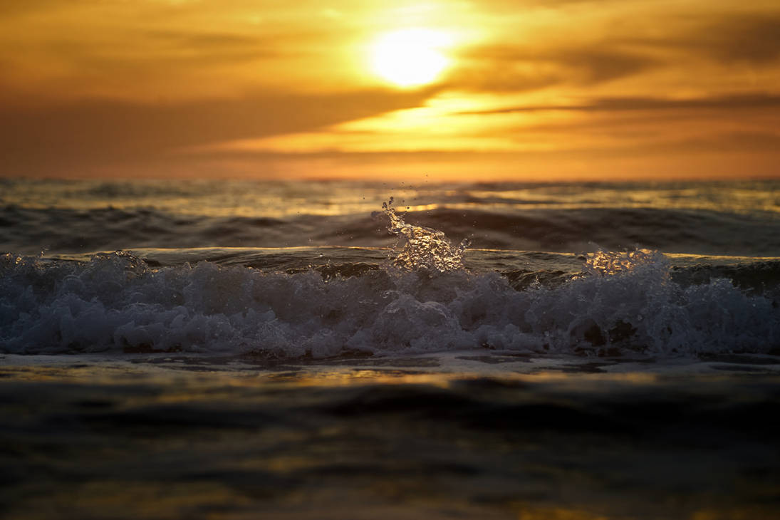 Call of the sea by vanconickx dg9f5u4 pre (1)